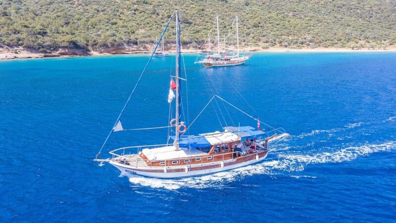 Bodrum: Bodrum Private Boat Tour for Cruise Customers - Key Points