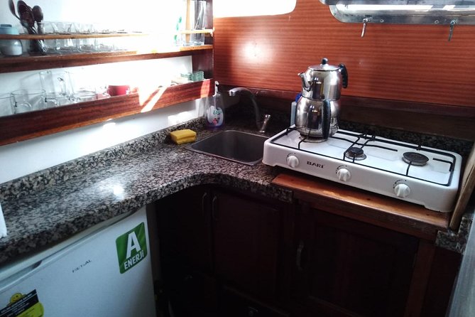 Bodrum Islands Cruise with Lunch , Private Yacht - Exploring the Bodrum Archipelago’s Top Stops