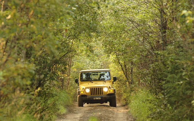 Bodrum Jeep Safari with Lunch - Practical Details and Booking Tips