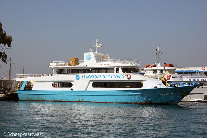 Bodrum-Kos-Bodrum Same Day Return Ferry Ticket from Cruise Port - Considerations and Potential Drawbacks