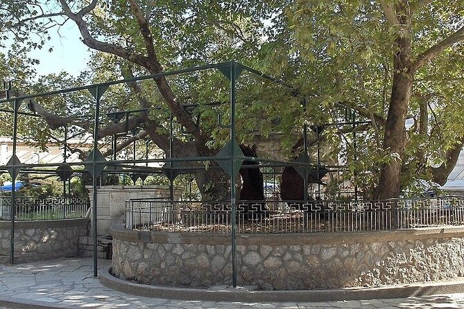 Bodrum Kos Same Day Return Ferryboat Ticket from the castle port - What Makes the Kos Town Stop Special