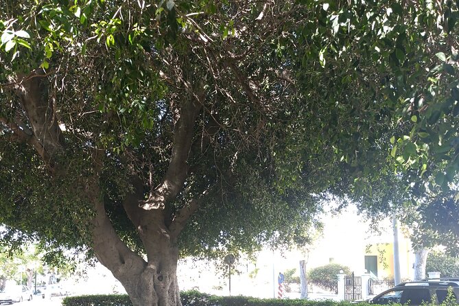 Bodrum Kos Same Day Return Ferryboat Ticket from the castle port - The Return Journey to Bodrum