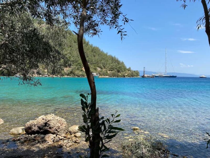 Bodrum: Orak Island, German Bay & Red Bay Boat Tour w/ Lunch - Who Will Enjoy This Tour Most