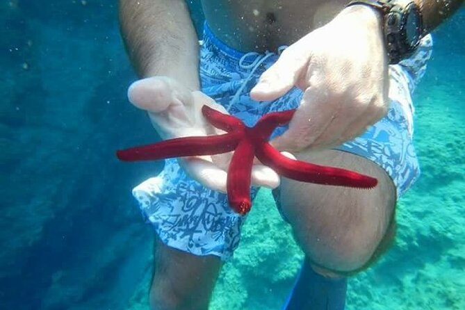 Bodrum Private Gulet Cruise with a Mediterranean Lunch - Discovering the Hidden Hot Spring on Black Island