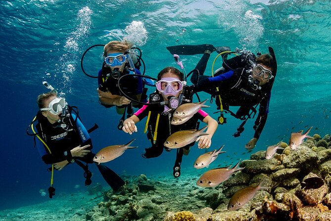 Bodrum Scuba Diving Tour With Free Hotel Transfer By Locals - What Makes This Tour Stand Out in Bodrum