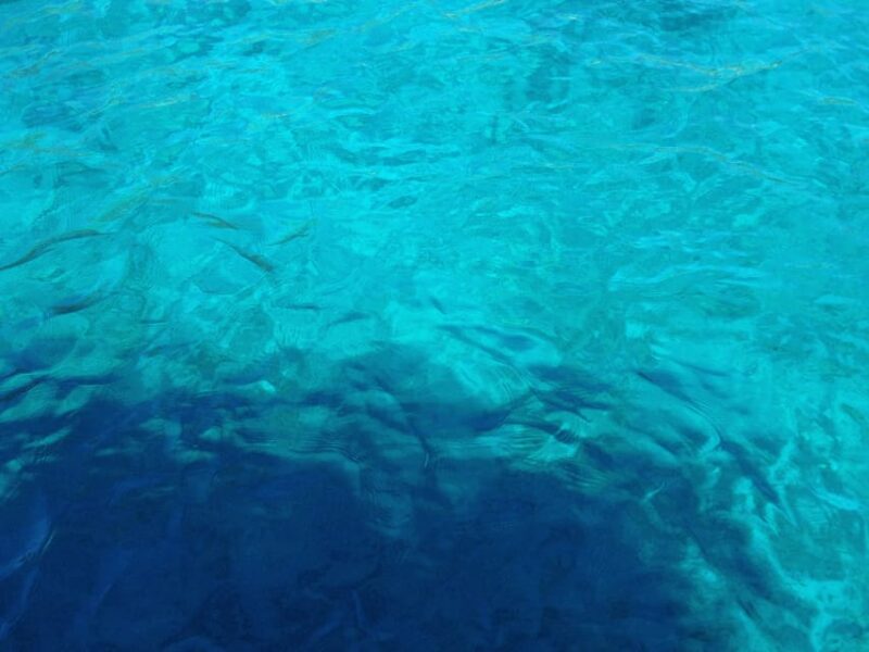 Bodrum: Scuba Diving Trip with Lunch - Dive Experience and Instruction for Beginners