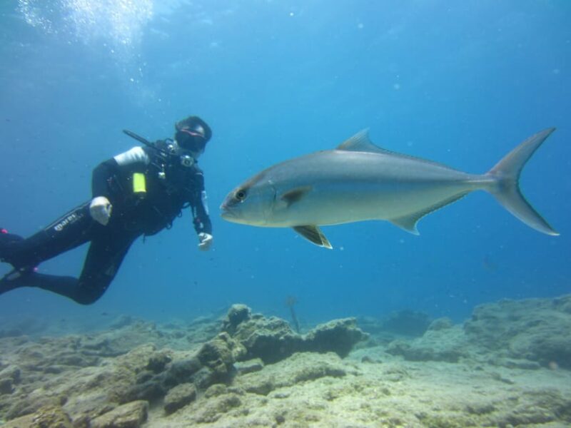 Bodrum: Scuba Diving Trip with Lunch - How This Tour Compares to Other Water-Based Excursions