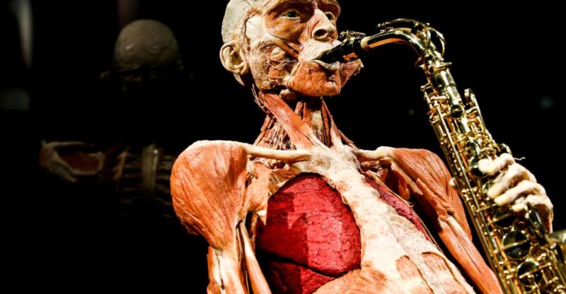 Body Worlds Amsterdam: The Happiness Project Ticket - Explore the Human Body and Happiness at Body Worlds Amsterdam