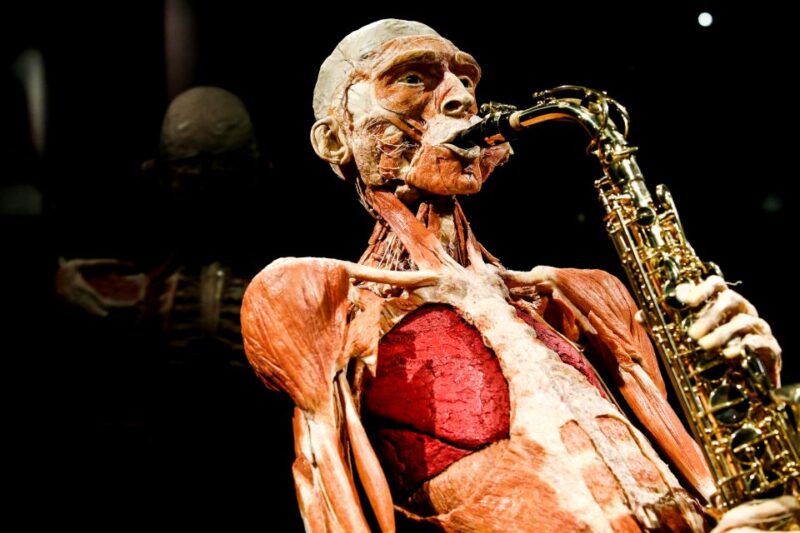 Body Worlds Amsterdam: The Happiness Project Ticket - Key Points