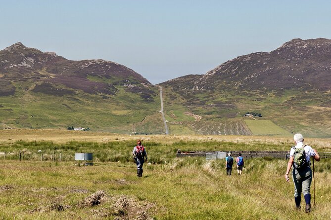 Bog Safari Hike - Explore Ireland’s Ancient Boglands for an Authentic Wild Atlantic Way Experience