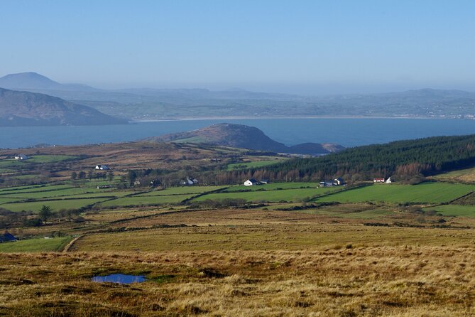Bog Safari Hike - Key Points