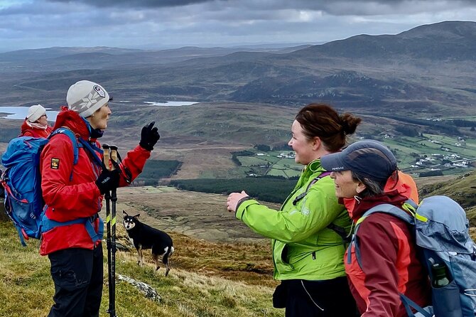 Bog Safari Hike - Practical Tips and Optional Extras