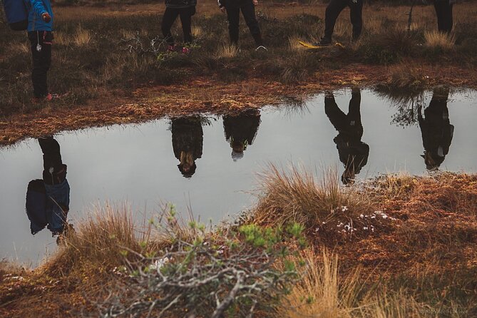 Bog-shoe Hiking Tour - Discover Estonia’s Unique Bog Landscapes with Bog-shoe Hiking
