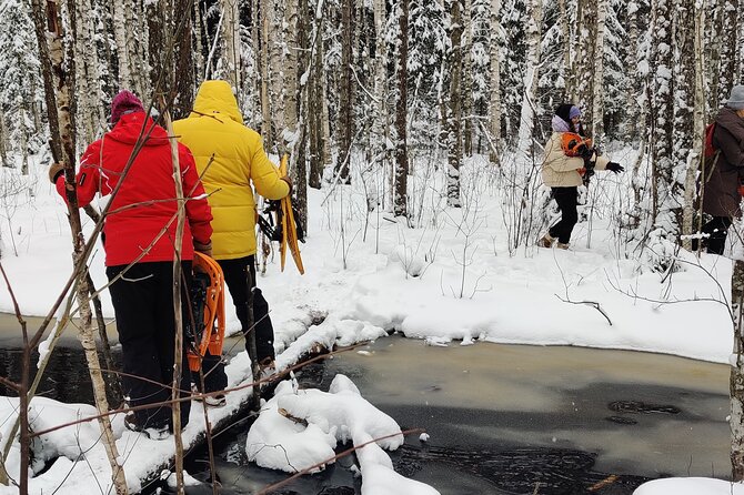 Bog-shoe Hiking Tour - Practical Details: Booking, Cancellation, and Accessibility