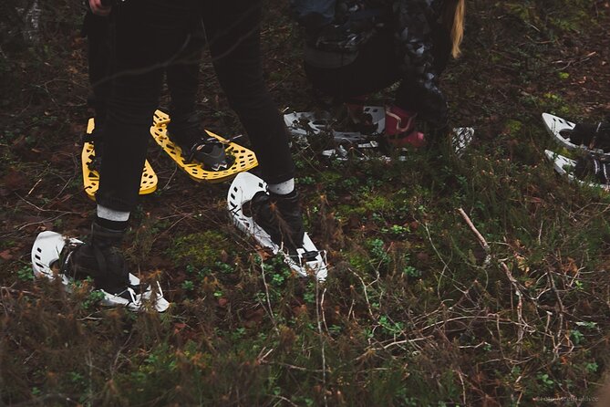 Bog-shoe Hiking Tour - What the Tour Excludes and Tips for Participants