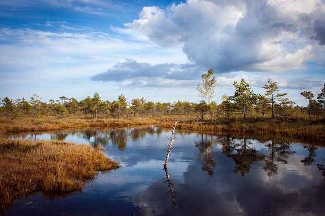 Bogs and Resorts in Jrmala - Explore Bogs and Resorts in Jrmala with a Personal Guide from Riga