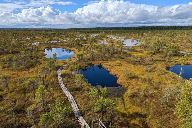 Bogs and Resorts in Jrmala - Jomas Street: Jurmala’s Historic Main Road