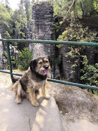 Bohemian Paradise (eský ráj) UNESCO geopark nature walks - Walking Among the Prachov Rocks’ Sandstone Towers
