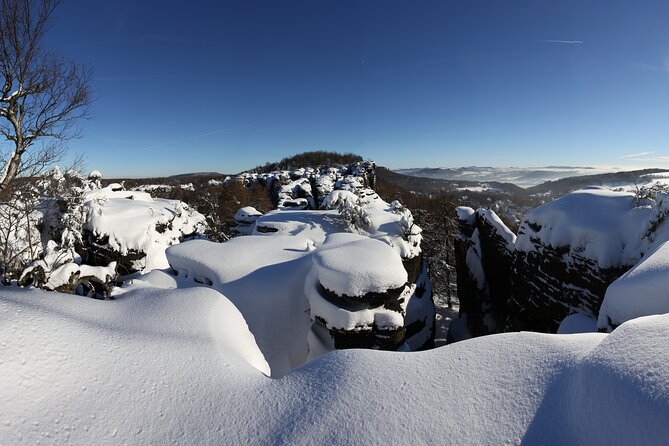 Bohemian Switzerland From Prague with Brewery Tour & Beer Tasting - The Brewery Tour at Centrum Pivovar Decin