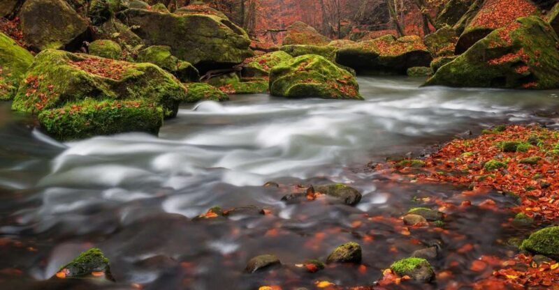 Bohemian Switzerland: Private Day Trip from Prague - Frequently Asked Questions