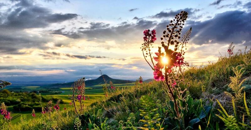 Bohemian Uplands: Garnet panning, Farm & Local Lunch&Beer - Lunch with a View and Local Flavors