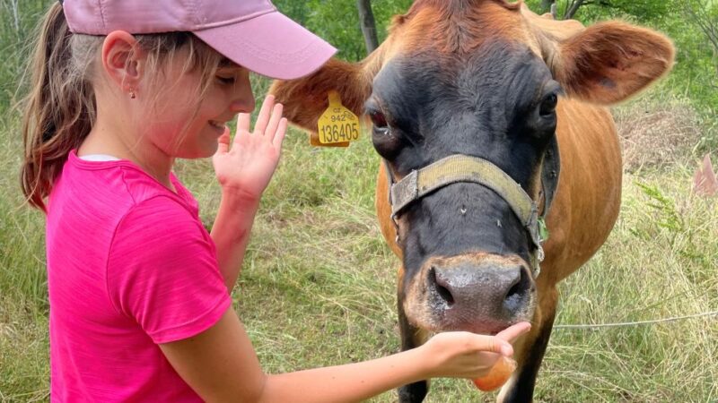 Bohemian Uplands: Garnet panning, Farm & Local Lunch&Beer - Personal Guidance and Cultural Discussions