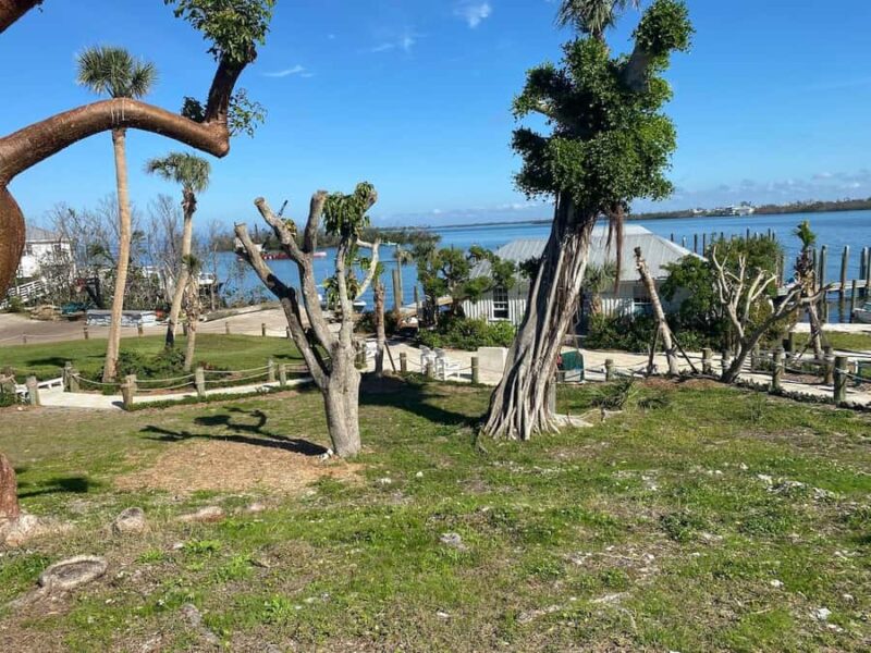 Bokeelia: Cabbage Key Nature Cruise - Return Cruise with Marine Life and Beach Views
