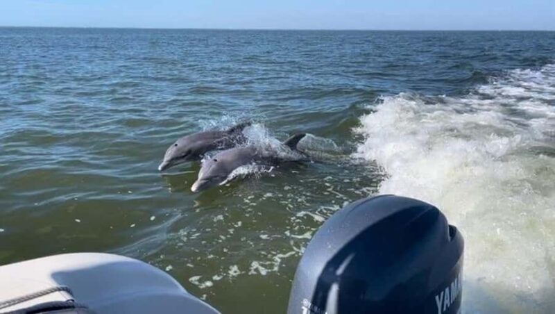 Bokeelia: Cabbage Key Nature Cruise - Why This Tour Stands Out Compared to Other Water Tours