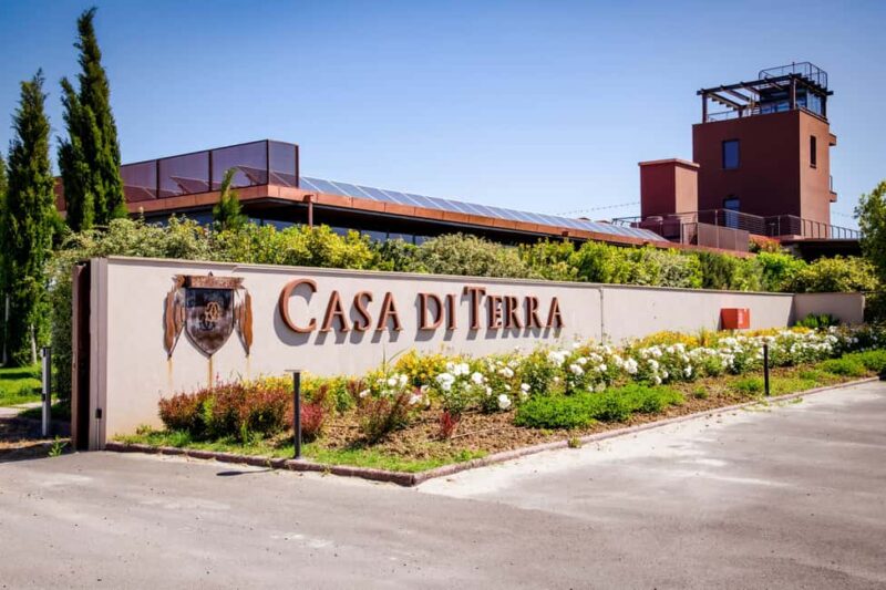 Bolgheri: a guided tour of the winery and a tasting of our wines - Starting at the Panoramic Terrace with Views of Bolgheri