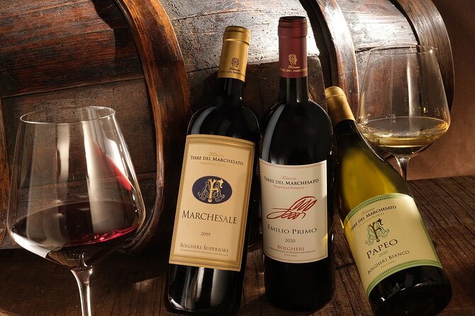 Bolgheri: Classic Wine Tasting with Winery Tour - Explore the Historic Grounds of Terre del Marchesato