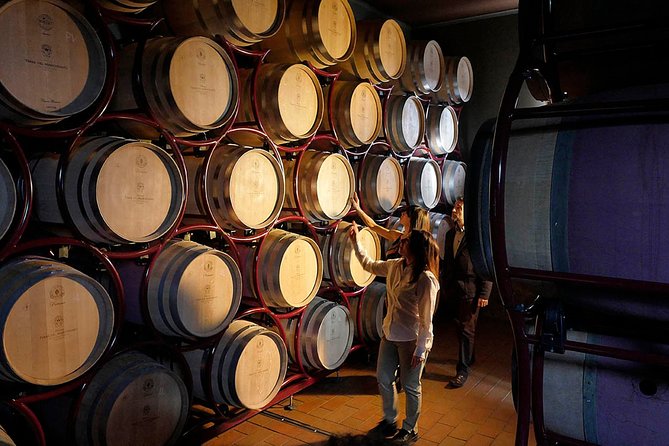Bolgheri: Classic Wine Tasting with Winery Tour - Meeting Point and Accessibility