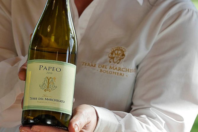 Bolgheri: Classic Wine Tasting with Winery Tour - The Experience for Different Types of Visitors