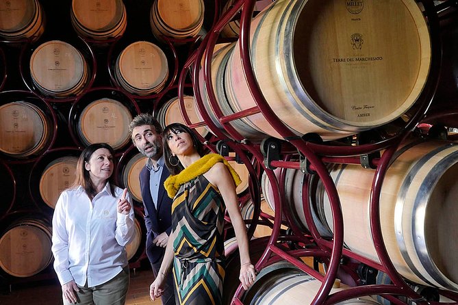 Bolgheri: Premium Wine Tasting with Winery Tour - Explore Bolgheri’s Premier Winery with a Guided Tour and Tasting