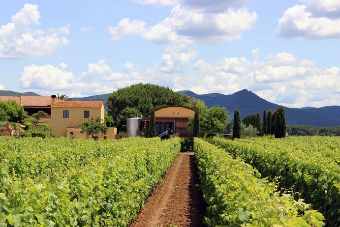Bolgheri: Premium Wine Tasting with Winery Tour - The Experience at Terre del Marchesato: What Makes It Special