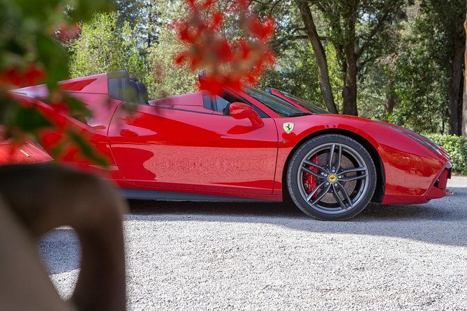 Bolgheri / Volterra / Florence-Tour in Ferrari - Bolgheri: The Heart of Tuscan Wine Production