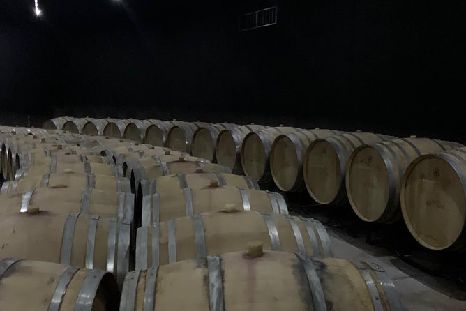 Bolgheri Wineries and Tuscany Tour - Exploring the Village of Bolgheri