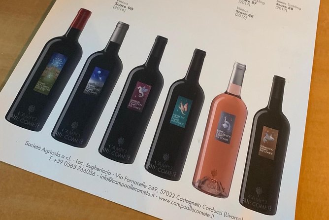 Bolgheri Wineries and Tuscany Tour - Genuine Praise from Past Participants