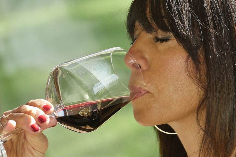 Bolgheri: Winery Tour with Wine Tasting - Tasting the Best Wines of Bolgheri