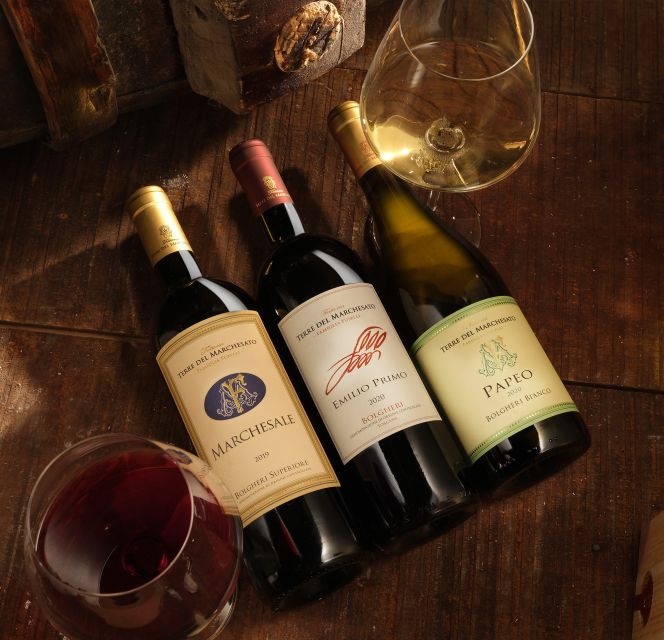 Bolgheri: Winery Tour with Wine Tasting - Practical Details for a Smooth Visit