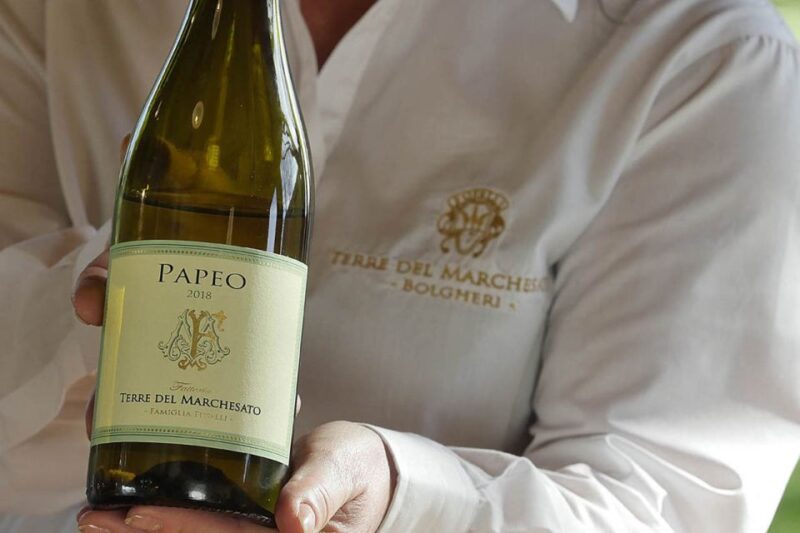 Bolgheri: Winery Tour with Wine Tasting - What Sets This Tour Apart