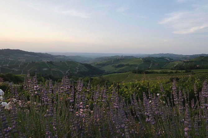 Bollicine - Wine Tasting of Two Local Wines and Typical Products