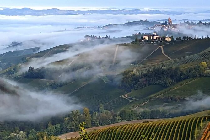 Bollicine - Practical Details and Booking Tips