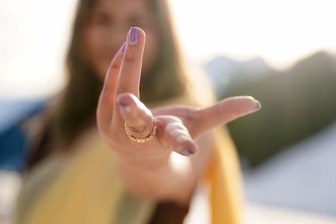 Bollywood Private Day Tour in Zurich - Key Points