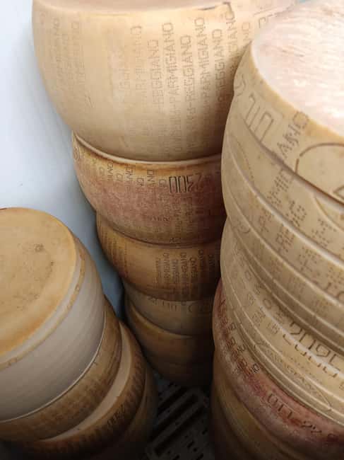 Bologna by night: food, wine and gelato with a local - Who Will Enjoy This Tour the Most?