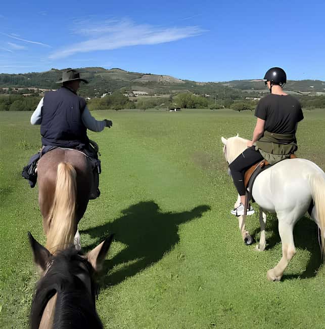 Bologna: Horseback Ride in the Bolognese Hills - The Trail Along the Via degli Dei