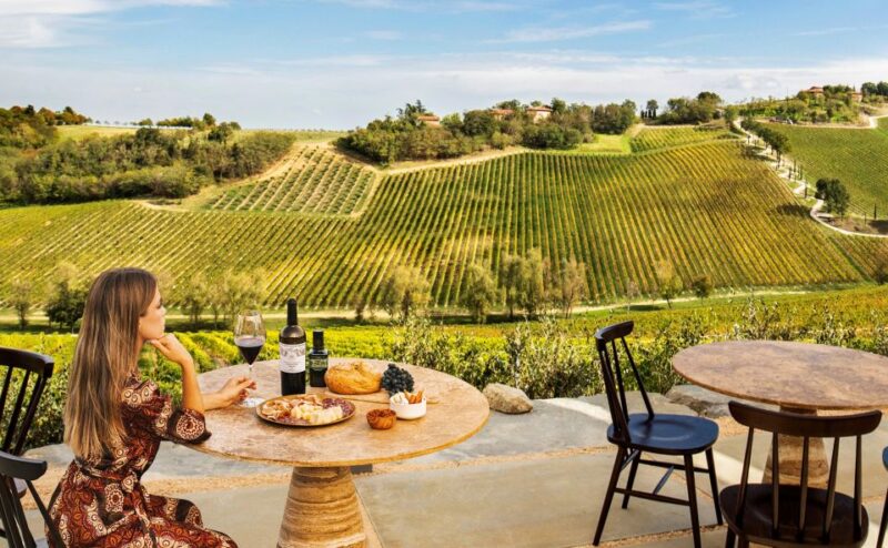 Bologna: Olive Grove and Vineyard Tour with Product Tastings - The Itinerary and Key Stops on the Estate