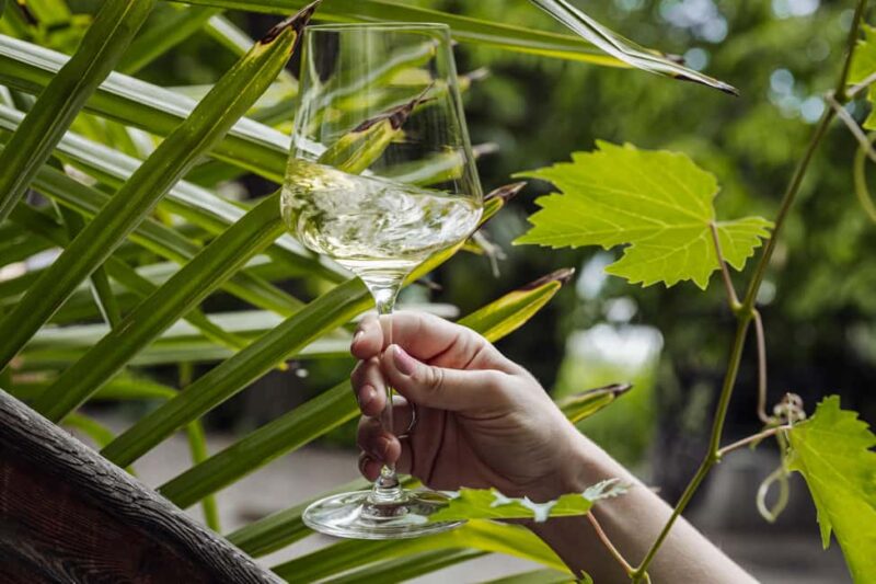 Bolzano: Wine Tasting at SKYWINE Pavilion with Views - A Unique Wine Tasting Experience at the SKYWINE Pavilion in Bolzano