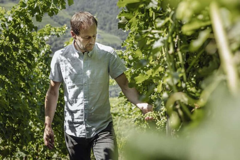 Bolzano: Wine Tasting at SKYWINE Pavilion with Views - Key Points