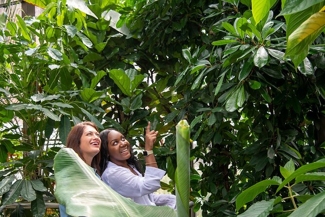 Bombay Sapphire Gin Cocktail Masterclass and Tour - Practical Tips for Visiting the Bombay Sapphire Distillery