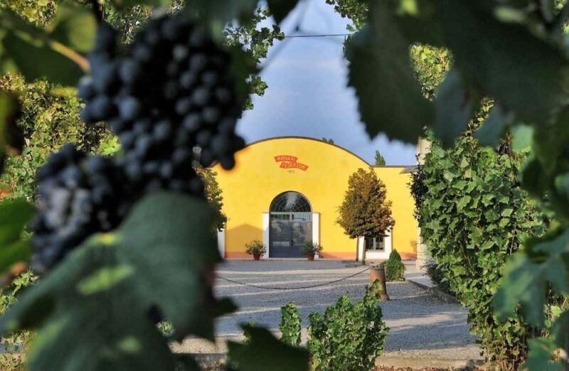 Bomporto: Balsamic Vinegar Tasting & Vintage Car Museum - Why This Tour Stands Out in Emilia-Romagna